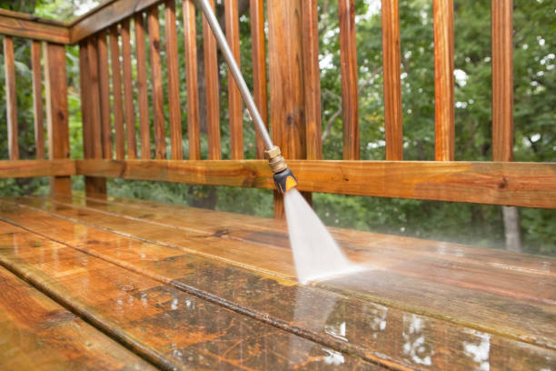 Best Animal Enclosure Cleaning  in High Bridge, NJ